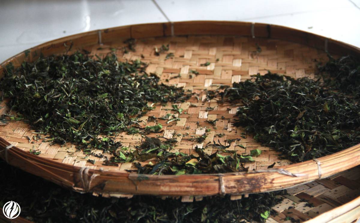 tea leaf size and steeping