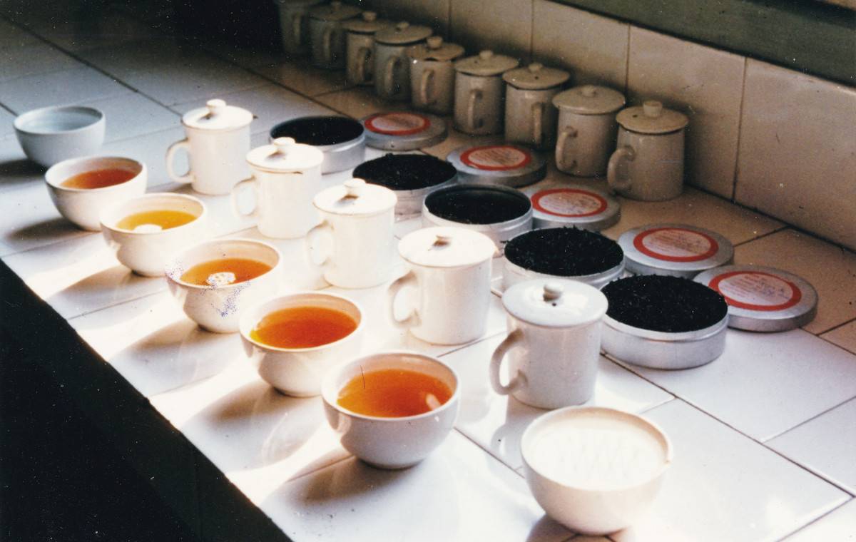 Tea Glossary, Tea Terminology: Tea Terms in tasting