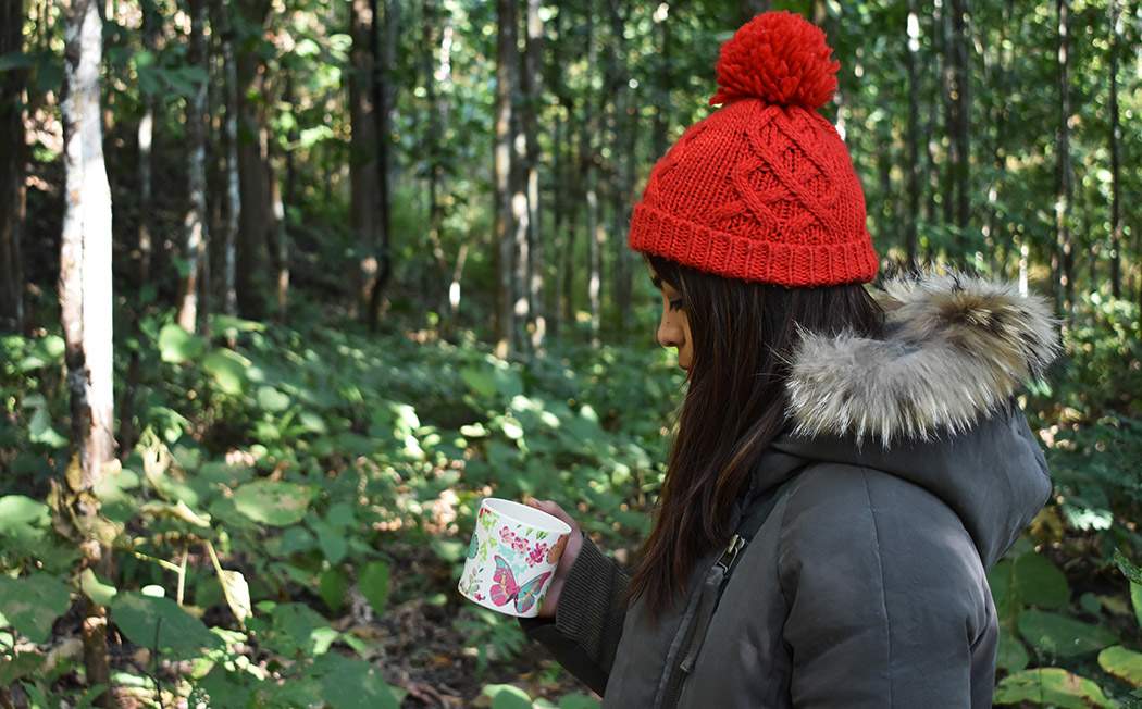 Buy best Darjeeling Tea online