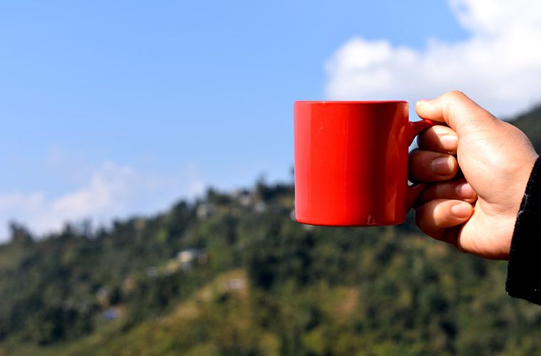 Choose the right tea