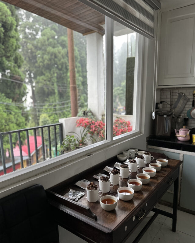 Tea Tasting Table at Thunderbolt Tea, Darjeeling